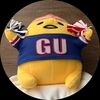 gu2024